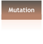 Mutation