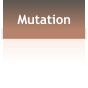 Mutation